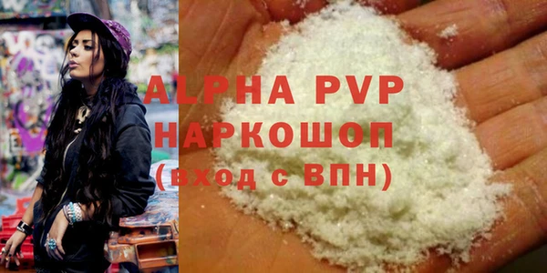 СК Балахна